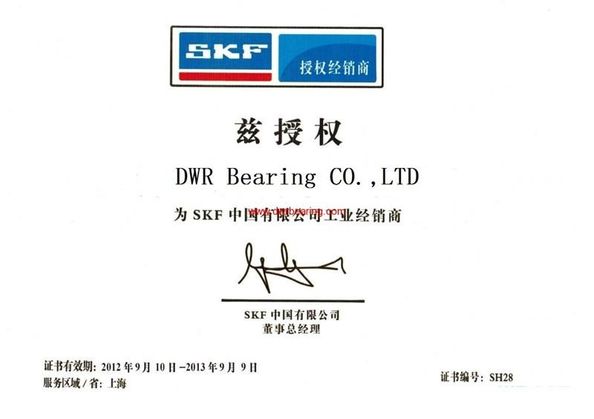 China DWR Bearing  Co., Ltd zertifizierungen